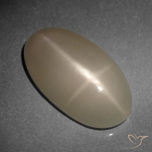 9.34ct Natural Medium-Dark Orange Star Moonstone, Oval, Translucent