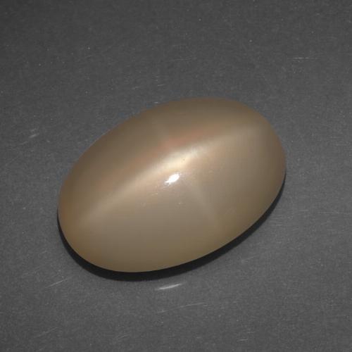 Orange moyen-foncé Pierre de Lune Étoilé gemme - 6.8ct Ovale Cabochon (ID: 418939)