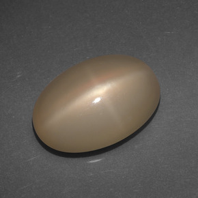 Star Moonstone Gemstone in 15.5 x 10.8 mm Size for Sale, Star Moonstone Stone in Medium-Dark Orange Color