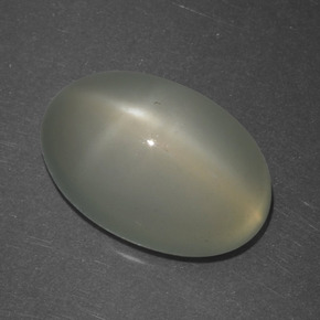 Warm White Star Moonstone Gem - 6.7ct Oval Cabochon (ID: 418943)