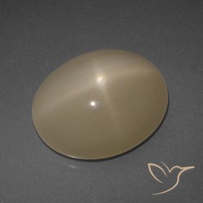 Star Moonstone Gemstone in 14 x 12 mm (calibrated) Size for Sale, Star Moonstone Stone in Medium-Dark Orange Color