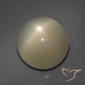 11.34 ct Brown Star Moonstone Stone, Natural Star Moonstone in Round Cabochon Shape for Sale
