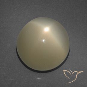Star Moonstone Gemstone in 13 mm (calibrated) Size for Sale, Star Moonstone Stone in Light Coffee Brown Color