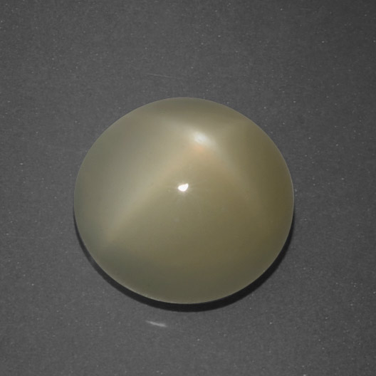 Earthy Brown Star Moonstone Gem - 5.1ct Round Cabochon (ID: 418963)