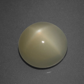 5.09 ct Brown Star Moonstone Stone, Natural Star Moonstone in Round Cabochon Shape for Sale