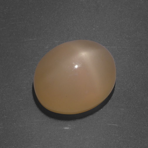 Cantaloupe Orange Star Moonstone Gem - 5.2ct Oval Cabochon (ID: 418966)