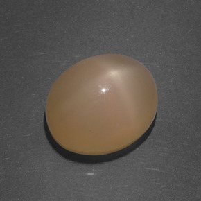 Star Moonstone Gemstone in 11 x 9 mm (calibrated) Size for Sale, Star Moonstone Stone in Cantaloupe Orange Color