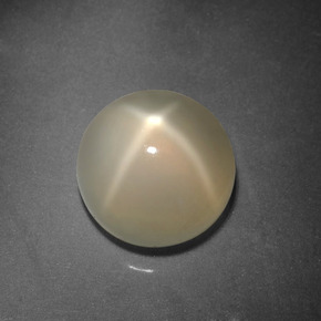 3.90 ct Cream Star Moonstone Gemstone, Star Moonstone Gem in Round Cabochon Shape for Sale.