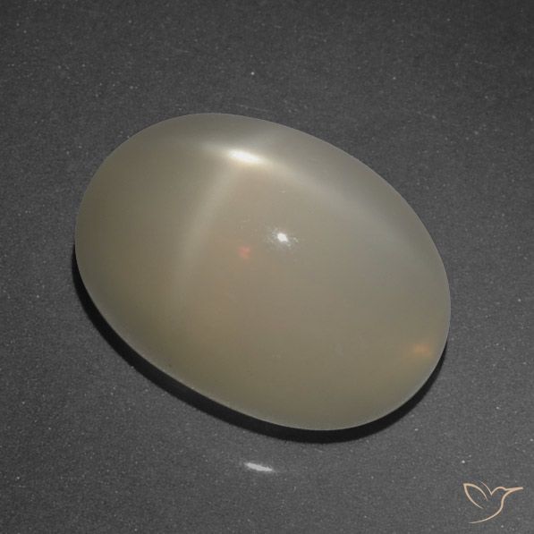8.95ct Natural Light Coffee Brown Star Moonstone, Oval, Translucent