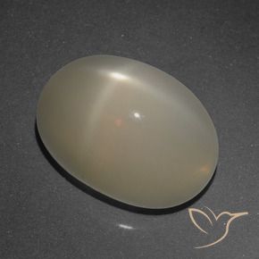 Star Moonstone Gemstone in 14 x 10 mm (calibrated) Size for Sale, Star Moonstone Stone in Light Coffee Brown Color
