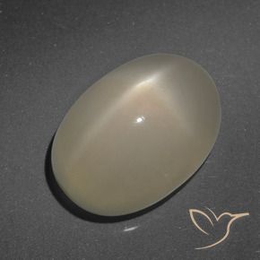 Star Moonstone Gemstone in 14 x 10 mm (calibrated) Size for Sale, Star Moonstone Stone in Light Coffee Brown Color