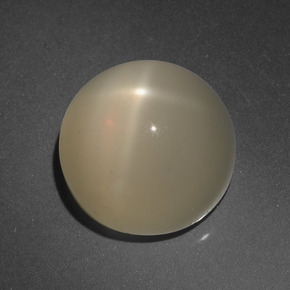 8.63 ct Cream Star Moonstone Stone, Natural Star Moonstone in Round Cabochon Shape for Sale