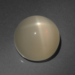 Star Moonstone Gemstone in 12 mm (calibrated) Size for Sale, Star Moonstone Stone in Cream Color