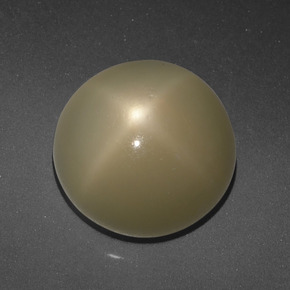 Medium Yellow Star Moonstone Gem - 7.9ct Round Cabochon (ID: 419054)