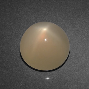 3.77 ct Orange Star Moonstone Stone, Natural Star Moonstone in Round Cabochon Shape for Sale