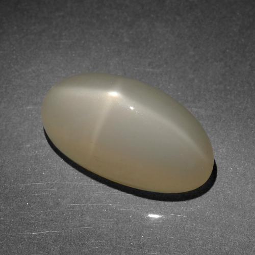 Marrón cálido claro Piedra de Luna Estrella Gema - 8.5ct Cabujón Óvalo (ID: 419095)