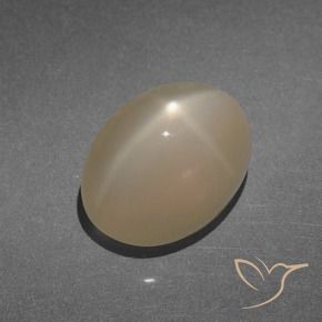 8.47 ct Brown Star Moonstone Stone, Natural Star Moonstone in Oval Cabochon Shape for Sale