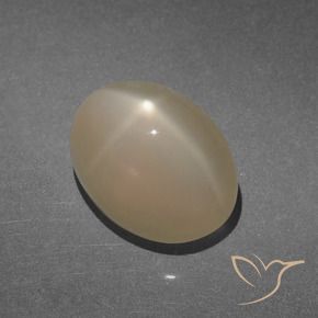Star Moonstone Gemstone in 13.3 x 10 mm Size for Sale, Star Moonstone Stone in Warm Light Brown Color