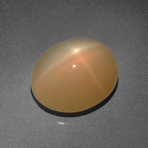 8.03 ct Orange Star Moonstone Stone, Natural Star Moonstone in Oval Cabochon Shape for Sale