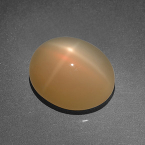 Star Moonstone Gemstone in 14 x 12 mm (calibrated) Size for Sale, Star Moonstone Stone in Cream Peach Color