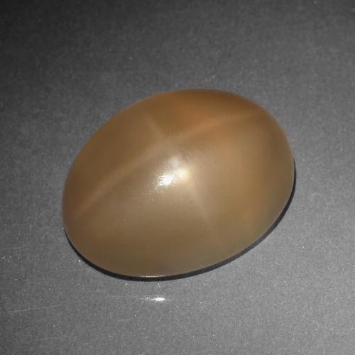 Cantaloupe Orange Star Moonstone Gem - 8.5ct Oval Cabochon (ID: 419103)