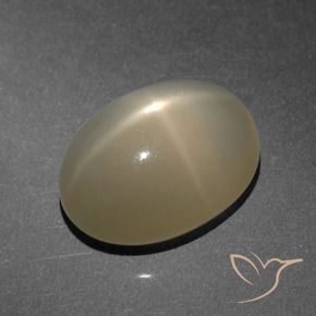 Star Moonstone Gemstone in 14.5 x 10.6 mm Size for Sale, Star Moonstone Stone in Light Brown Color