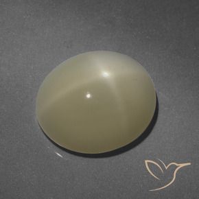 Star Moonstone Gemstone in 13.4 x 11.8 mm Size for Sale, Star Moonstone Stone in Light Warm Brown Color