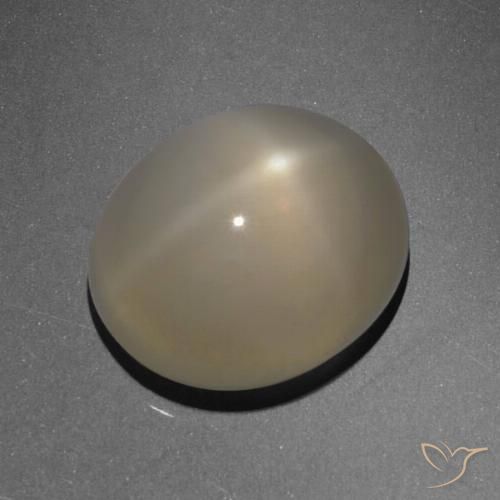 6.13 ct Oval Star Moonstone, 13 x 11 mm From India, Photo A