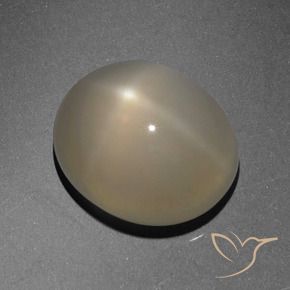6.13 ct Brown Star Moonstone Stone, Natural Star Moonstone in Oval Cabochon Shape for Sale