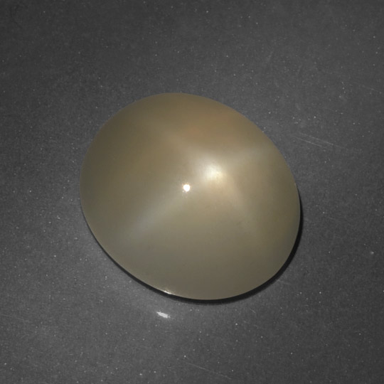 hellbraun Sternmondstein Edelstein - 6.2ct Oval Cabochon (ID: 419121)