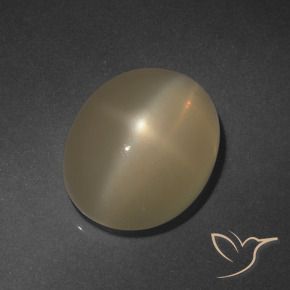 Star Moonstone Gemstone in 13.9 x 10.9 mm Size for Sale, Star Moonstone Stone in Light Brown Color