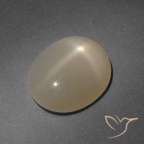 Star Moonstone Gemstone in 13.9 x 11.2 mm Size for Sale, Star Moonstone Stone in Pale Brown Color