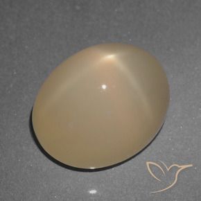 5.74 ct Brown Star Moonstone Stone, Natural Star Moonstone in Oval Cabochon Shape for Sale