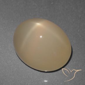 Star Moonstone Gemstone in 11 x 9 mm (calibrated) Size for Sale, Star Moonstone Stone in Pale Brown Color