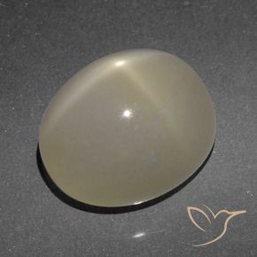 Star Moonstone Gemstone in 12 x 10 mm (calibrated) Size for Sale, Star Moonstone Stone in Light Brown Color