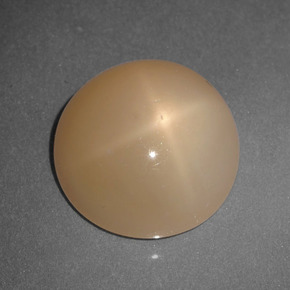 5.65 ct Orange Star Moonstone Stone, Natural Star Moonstone in Round Cabochon Shape for Sale