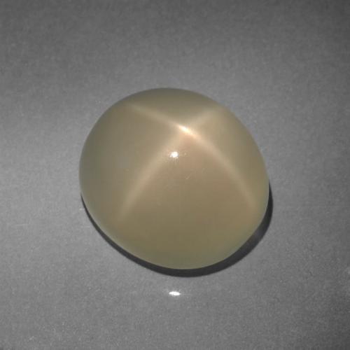 Light Gold Star Moonstone Gem - 7.6ct Oval Cabochon (ID: 420796)
