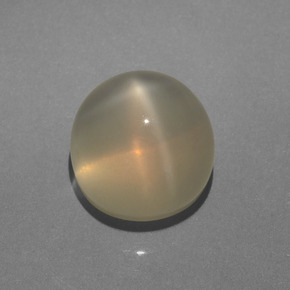 6.28 ct Cream Star Moonstone Gemstone, Star Moonstone Gem in Round Cabochon Shape for Sale.