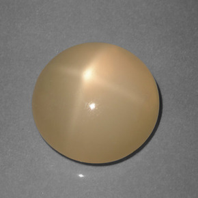 5.89 ct Orange Star Moonstone Gemstone, Star Moonstone Gem in Round Cabochon Shape for Sale.