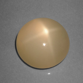 5.89 ct Orange Star Moonstone Stone, Natural Star Moonstone in Round Cabochon Shape for Sale