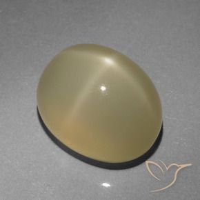Star Moonstone Gemstone in 11.6 x 9.2 mm Size for Sale, Star Moonstone Stone in Very Light Brown Color