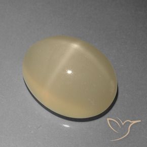 Star Moonstone Gemstone in 13.7 x 10.8 mm Size for Sale, Star Moonstone Stone in Light Coffee Brown Color