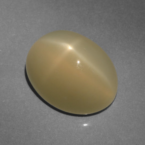 Star Moonstone Gemstone in 12.6 x 9.7 mm Size for Sale, Star Moonstone Stone in Light Tortilla Brown Color