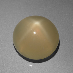 6.1ct Round Cabochon Cream Star Moonstone for sale thumb image of 6.1ct Round Cabochon Cream Star Moonstone (ID: 420862)