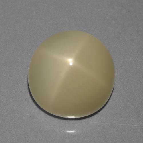 Pale Brown Pietra di luna stellata Gem - 6.3ct Cabochon rotondo (ID: 420866)