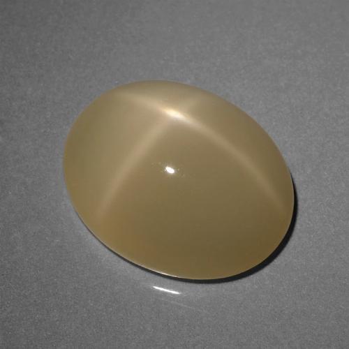 Very Light Brown Star Moonstone Gem - 8ct Oval Cabochon (ID: 420886)