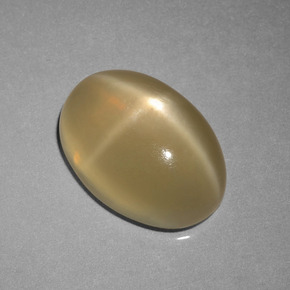 Light Tortilla Brown Star Moonstone Gem - 6.9ct Oval Cabochon (ID: 420887)