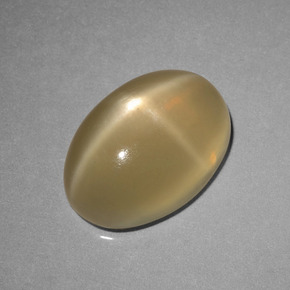 6.89 ct Brown Star Moonstone Stone, Natural Star Moonstone in Oval Cabochon Shape for Sale