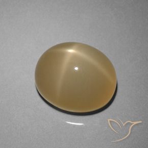 8.51 ct Brown Star Moonstone Stone, Natural Star Moonstone in Oval Cabochon Shape for Sale