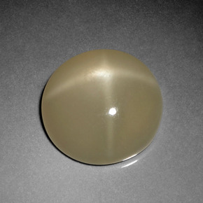 7.84 ct Cream Star Moonstone Stone, Natural Star Moonstone in Round Cabochon Shape for Sale